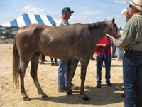 international/USA/2009FITS/gallery/AngieMcGhee/thumbnails/FITS Sat. 50 139.jpg